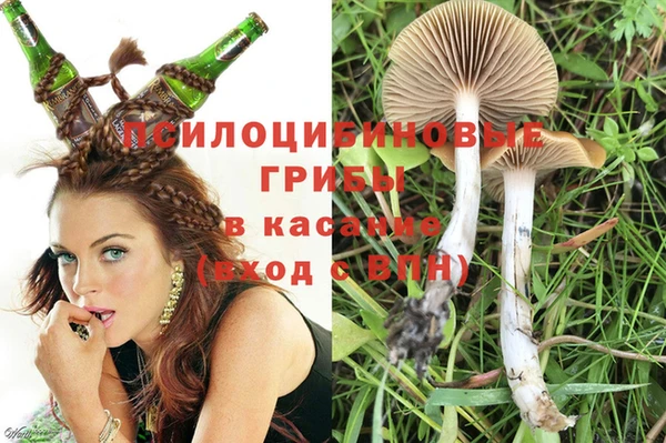 прущая мука Бородино