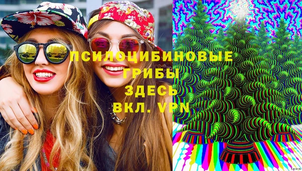не бодяженный Верея