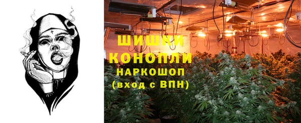 гашик Тобольск